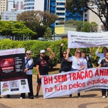 Protesto em BH exige penas mais severas para violência contra animais - Jair Amaral/EM/DA.Press