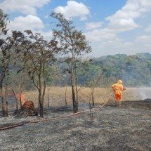 Incêndio devasta área de cerrado às margens da MG-050 - Corpo de Bombeiros/Divulgação