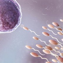 Cinco tratamentos para infertilidade: as melhores opções para cada caso - Freepik