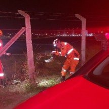 Bombeiros resgatam jacaré e gambá em ambientes urbanos  - CBMMG