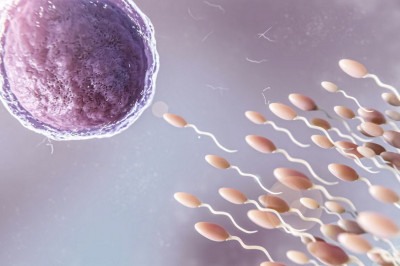 Diagnóstico preciso, acompanhamento adequado e orientação personalizada são fundamentais para aumentar as chances de realização do sonho de ter filhos -  (crédito: Freepik)