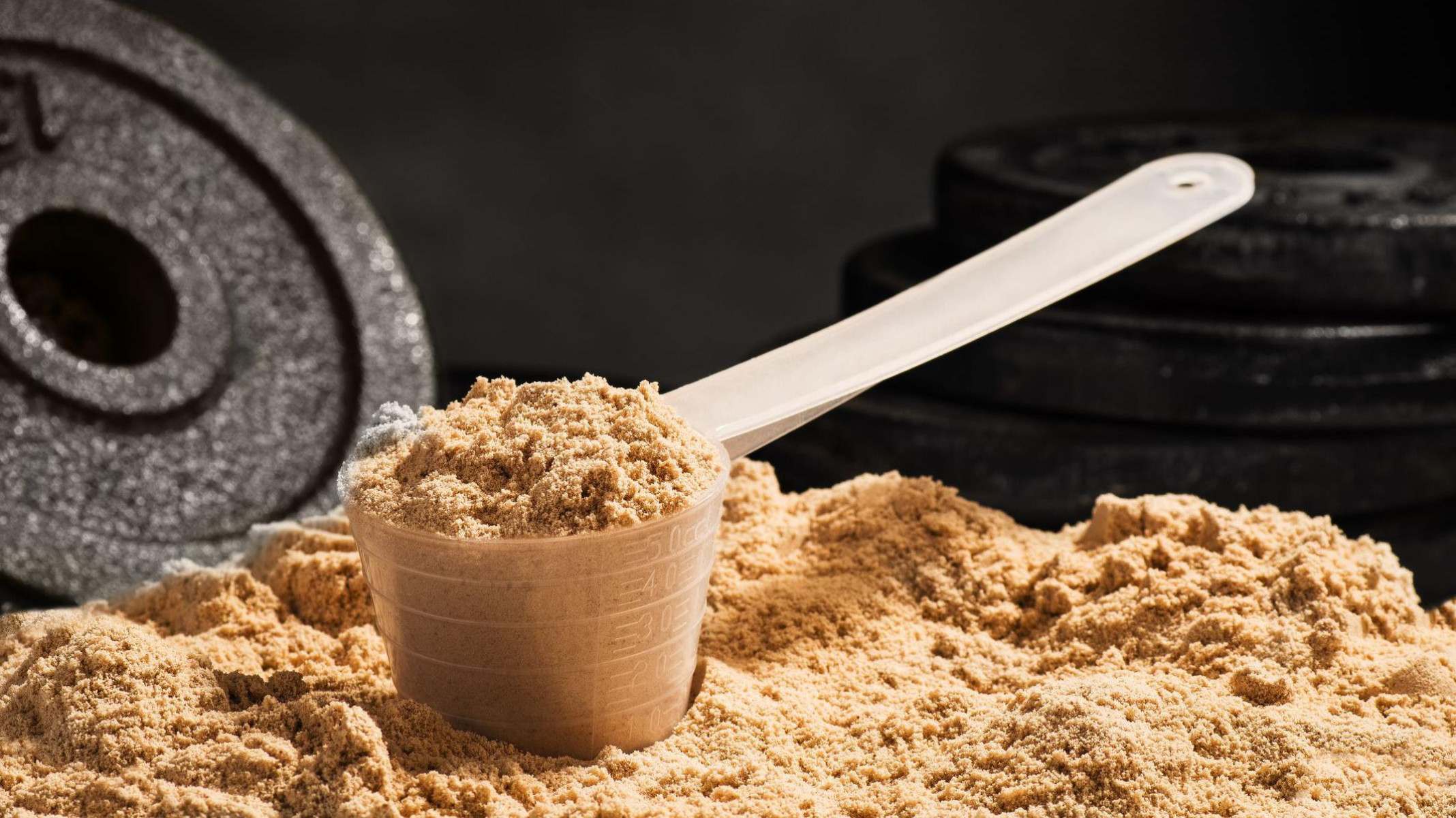 Quantidade de proteína recomendada varia de acordo com peso, massa muscular e nível de atividade física -  (crédito: Getty Images)