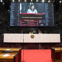 ALMG aprova projeto que veta homenagens a escravocratas e eugenistas -  Elizabete Guimarães/Reprodução