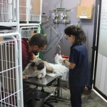 Complexo Veterinário oferece apoio psicológico a tutores de animais doentes - Divulga&ccedil;&atilde;o PBH