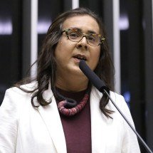 Duda Salabert pede sugestão de pena para Eduardo Bolsonaro - Kayo Magalhães / Câmara dos Deputados