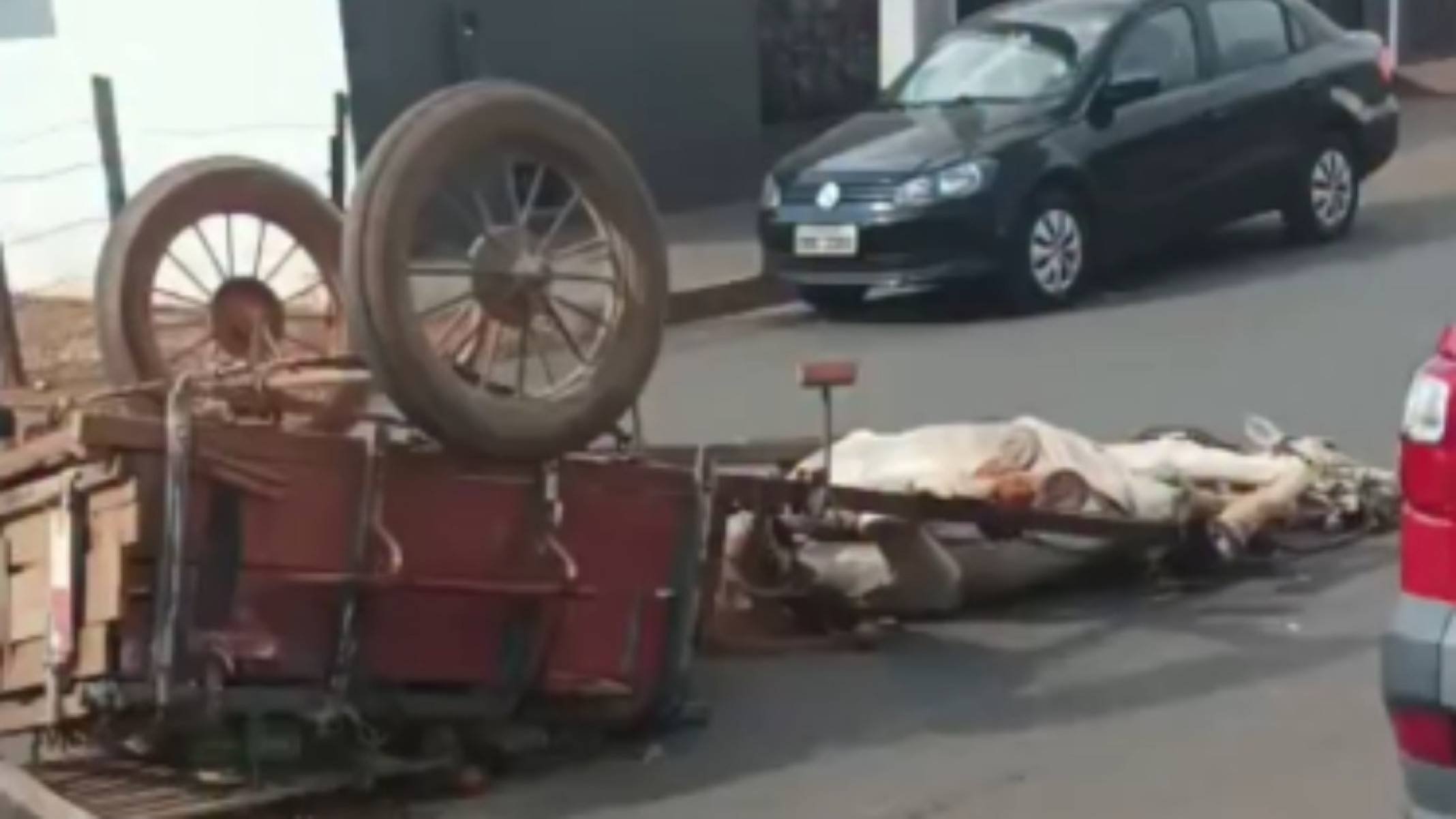 Ladrão capota carroça com cavalo que tinha acabado de furtar