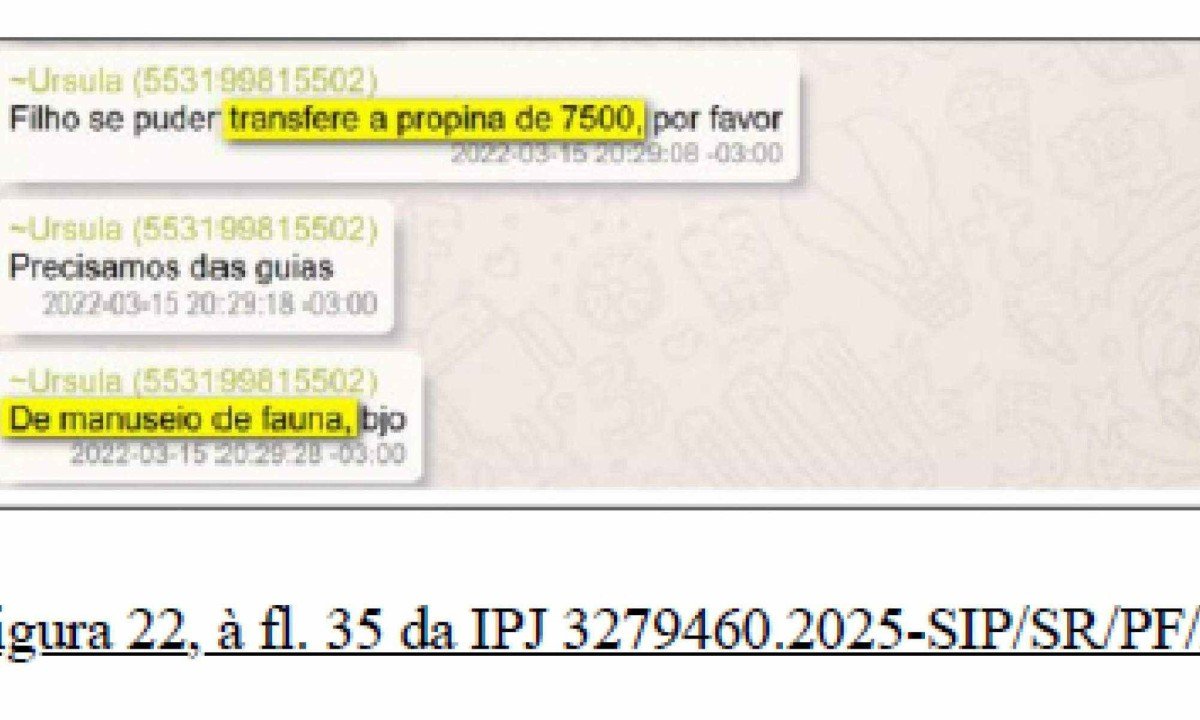 Mãe e filho negociam propina como assunto normal