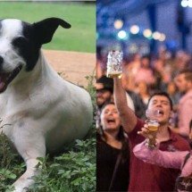 Oktoberfest SP 2025 terá espaço inédito com atrações para pets - Reprodução