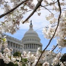 O que fazer em Washington, cidade muitas vezes ignorada pelos turistas estrangeiros - Mandel NGAN / AFP