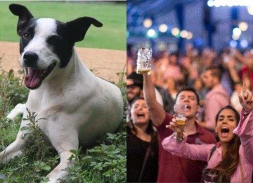 Oktoberfest SP 2025 terá espaço inédito com atrações para pets
 -  (crédito: Reprodução)