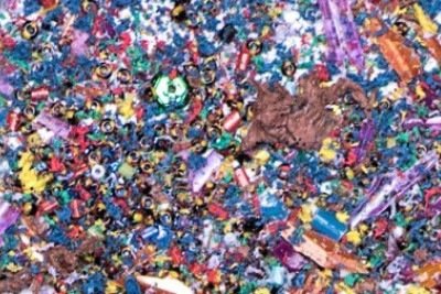 Com a exposição aos microplásticos e o agravamento de doenças ósseas metabólicas, estima-se que ocorra um aumento de 32% nas fraturas por osteoporose até 2050 -  (crédito: Léo Ramos Chaves/Pesquisa FAPESP)
