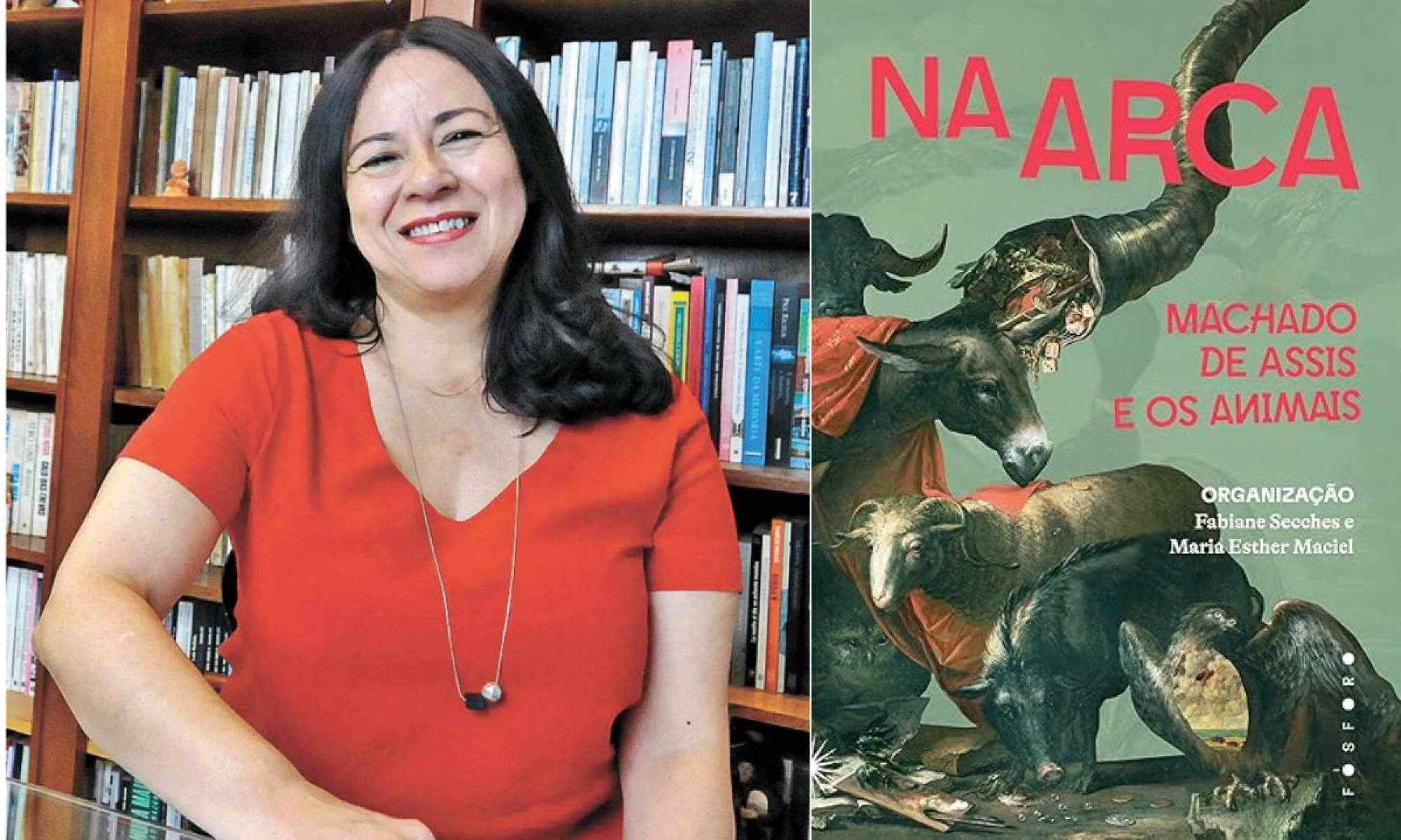 Maria Esther Maciel: "Ao contrário das narrativas fabulares, os bichos (nos escritos de Machado) não estão ali para representar os humanos nem estão a serviço de uma moral edificante.As falas a eles atribuídas nos textos machadianos têm um propósito crítico em relação à humanidade, aos usos cruéis da razão e à impotência desta diante das subjetividades não humanas."