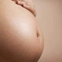 Estudo busca eliminar transmissão vertical de vírus que causa leucemia - Fotorech/Pixabay