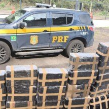 PRF apreende carga de maconha estimada em R$ 800 mil na BR-267, em Minas - PRF