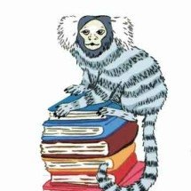 Um livro sobre a sagui que conviveu com Virginia Woolf - Reprodu&ccedil;&atilde;o