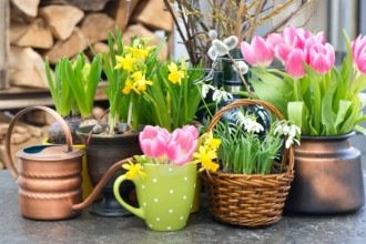 Simpatias e Rituais de primavera: quais e quando fazer para melhores resultados