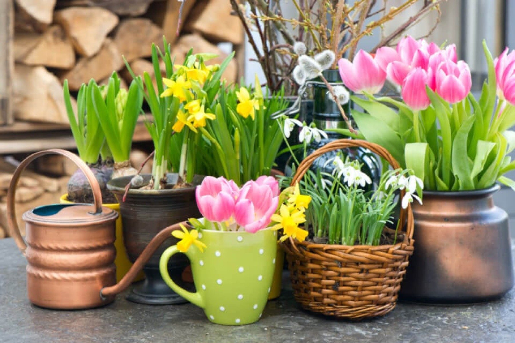 Simpatias e Rituais de primavera: quais e quando fazer para melhores resultados - Wemystic