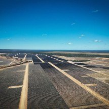 Usinas solares avançam sobre áreas da Caatinga -  Alexandre Guzanshe/EM/D.A. Press