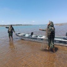 Oito pessoas são presas em operação da Polícia Militar do Meio Ambiente  - Divulgação/PMMG