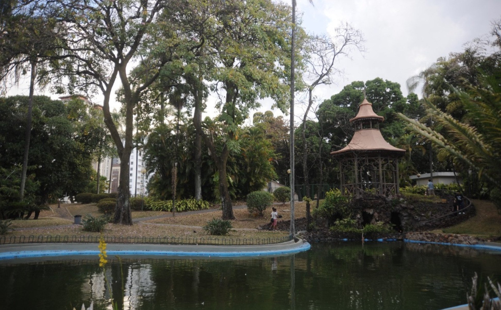 Jardins contêm plantas nativas, um orquidário e um lago com dois cisnes negros 