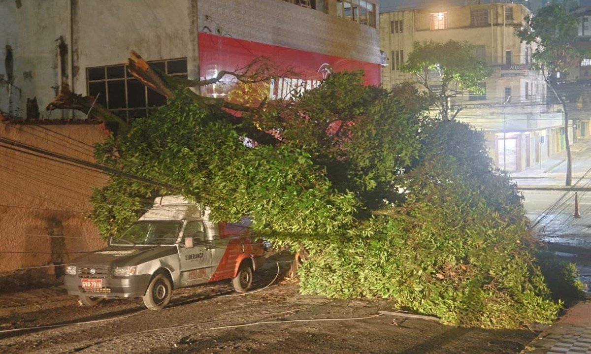 Queda de árvore de grande porte na Rua Manhumirim, no Bairro Carlos Prates, atingiu um carro e danificou a rede elétrica, deixando moradores sem luz-Marcos Vieira/EM/D.A.Press