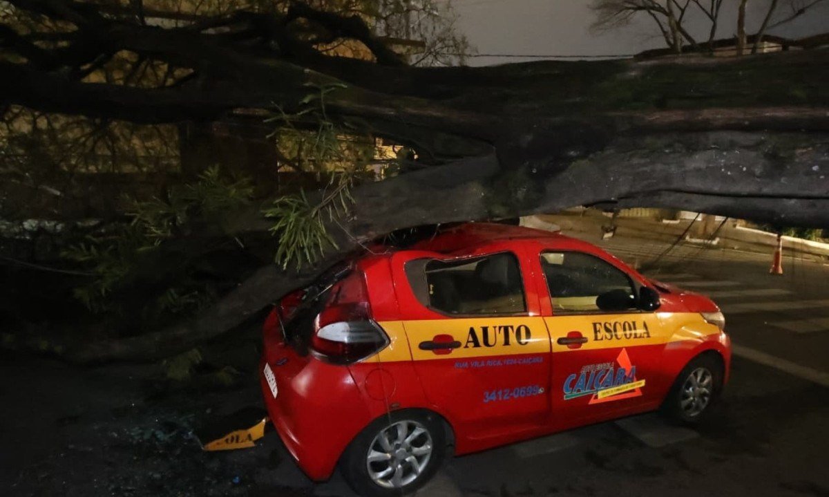 Rua Vila Rica, esquina com Rua Carlos Góes, Bairro Jardim Montanhês, mais um carro e um poste foram destruídos pela queda de uma árvore-Marcos Vieira/EM/D.A.Press