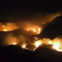 Homem é preso por causar incêndio que se alastrou por Parque Estadual - Reprodu&ccedil;&atilde;o