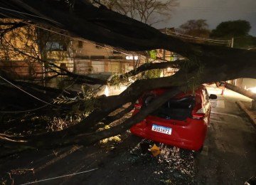 Na Rua Vila Rica, esquina com a Rua Carlos Góes, no Bairro Jardim Montanhês, mais um carro e um poste foram destruídos pela queda de uma árvore -  (crédito: Marcos Vieira/EM/D.A.Press)