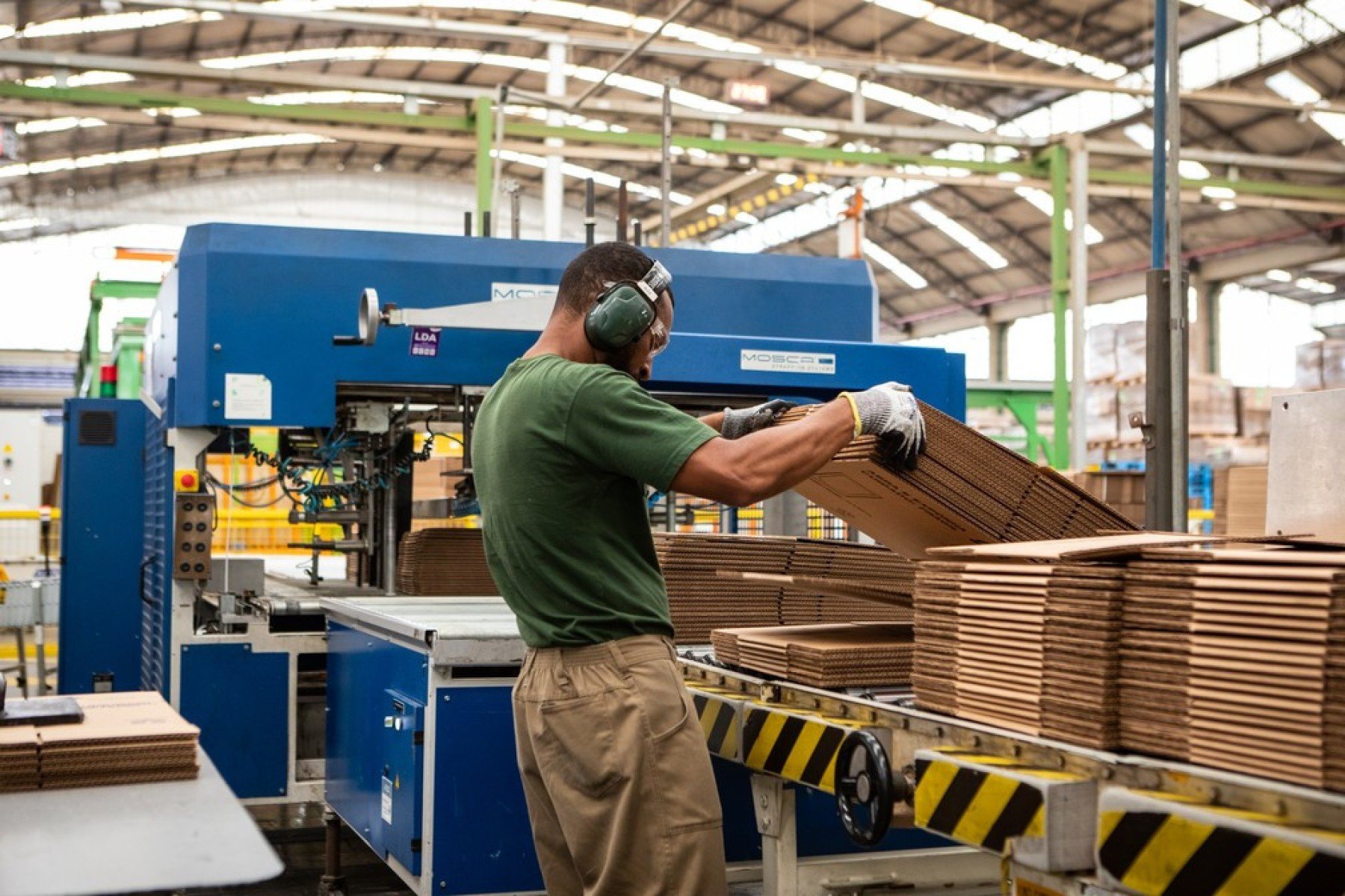 Indústria de celulose avança sob pressão por sustentabilidade - DINO