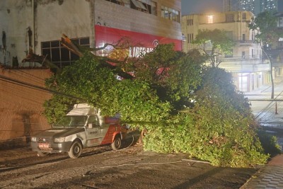Queda de &aacute;rvore de grande porte na Rua Manhumirim, no Bairro Carlos Prates, atingiu um carro e danificou a rede el&eacute;trica, deixando moradores sem luz -  (crédito: Marcos Vieira/EM/D.A.Press)