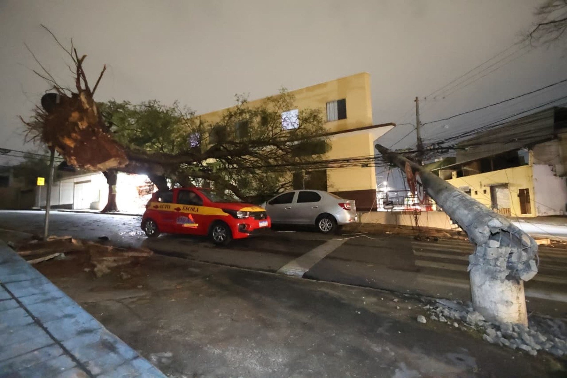 Na Rua Vila Rica, esquina com a Rua Carlos Góes, no Bairro Jardim Montanhês, mais um carro e um poste foram destruídos pela queda de uma árvore-Marcos Vieira/EM/D.A.Press