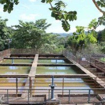 Cidade mineira decreta racionamento de água a partir desta quarta (24/9)  - Arquivo/Saae Itabira