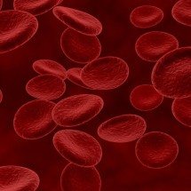 HPN: nova opção terapêutica no Brasil para a doença rara no sangue - kjpargeter/FreePik