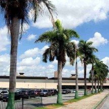 BH sedia festival de educação com especialistas e foco em IA  - Jair Amaral/EM/D.A Press