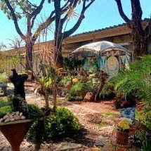 Primavera de Museus tem programação especial em seis instituições em BH - Welington Dias/Divulgação