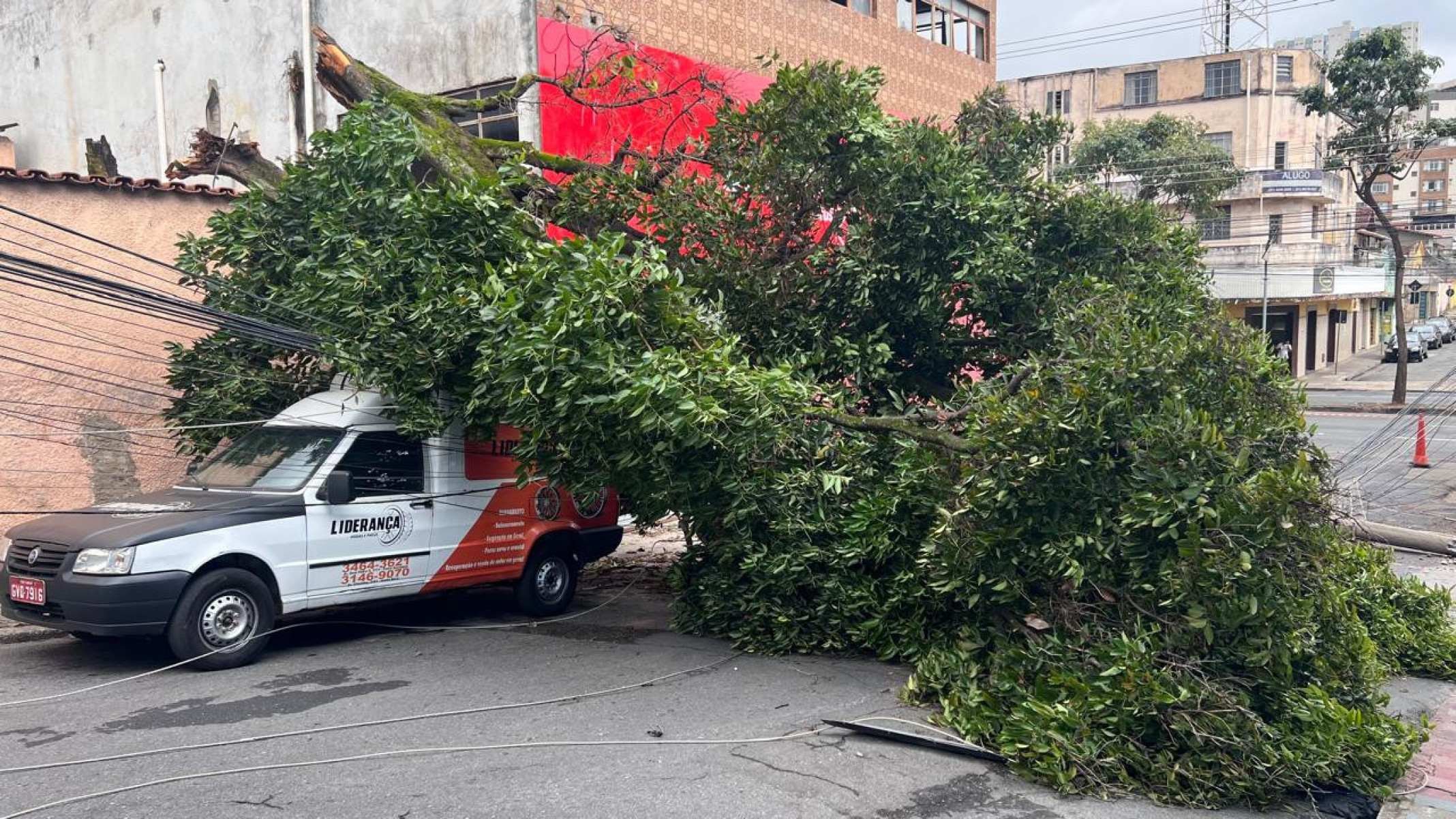 A rua foi bloqueada e a população aguarda a remoção da árvore e o conserto do poste atingido -Edésio Ferreira/EM/D.A Press