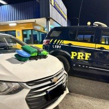 Motorista jovem e sem habilitação é preso com carga de maconha na BR-040 - Divulgação/PRF