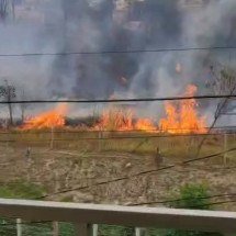 Vídeo: incêndio de grandes proporções atinge área de vegetação na Pampulha - Redes Sociais / Reprodução