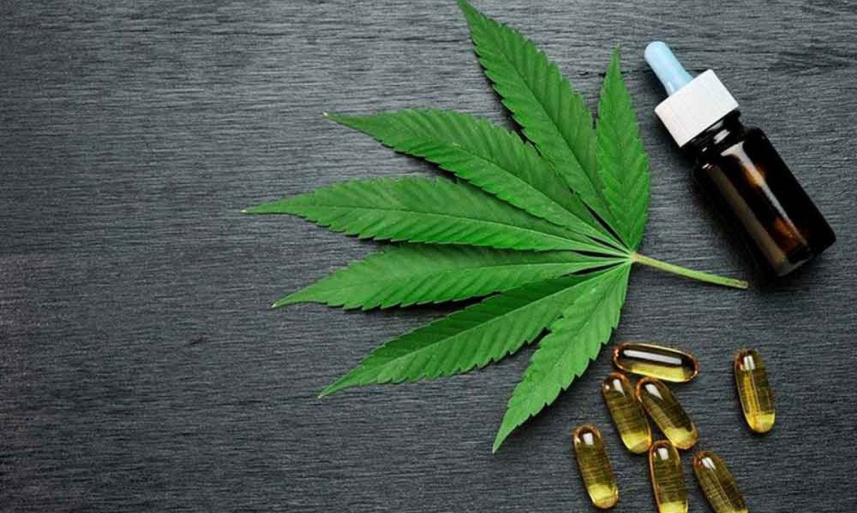 O CBD não deve ser visto como solução única, mas sim como um recurso que pode se somar ao tratamento já existente - (crédito: Cannabis&Saúde/Divulgação ) O CBD não deve ser visto como solução única, mas sim como um recurso que pode se somar ao tratamento já existente - (crédito: Cannabis&Saúde/Divulgação )
