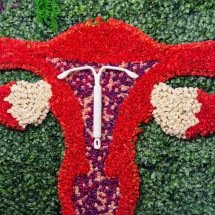 Aliada ou armadilha: como a internet influencia a contracepção feminina? - Bayer/Divulgação