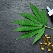 O canabidiol na luta contra o Transtorno do Espectro Autista - Cannabis&Saúde/Divulgação 