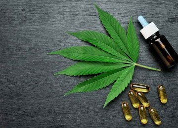 O CBD não deve ser visto como solução única, mas sim como um recurso que pode se somar ao tratamento já existente -  (crédito: Cannabis&Saúde/Divulgação )