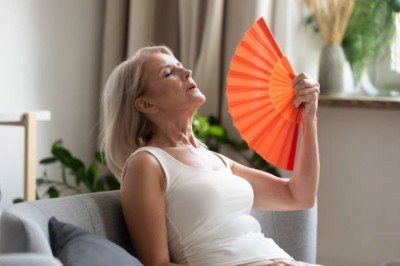 7 alimentos para incluir na dieta e aliviar os sintomas da menopausa -  (crédito: 7 alimentos para incluir na dieta e aliviar os sintomas da menopausa)