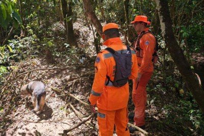 Cães farejadores integram as equipes de busca que entraram no sexto dia à procura do DJ de 32 anos desaparecido em MG -  (crédito: CBMMG)