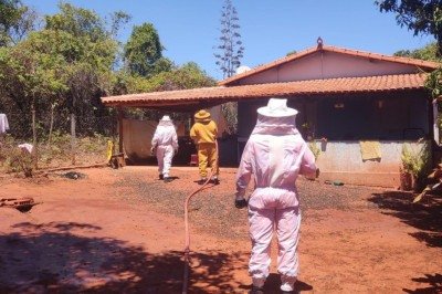 Corpo de Bombeiros foi acionado na manhã deste sábado (27/9) -  (crédito: CBMMG)