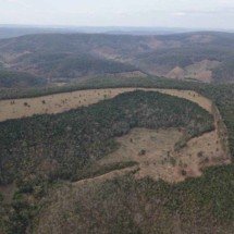 Operação Mata Atlântica em Pé aplica R$ 116 milhões em multas - Imagem: Sargento André Guedes/PMMG