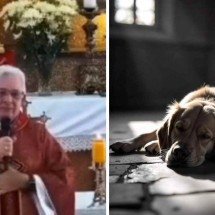 Padre critica presença de cães na igreja durante missa e divide a web - Reprodução / Pascom / FreePik