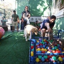 Tutores e pets se divertem em evento com cardápio exclusivo para cães em BH - Marcos Vieira/EM/DA Press