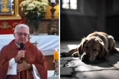 Padre pediu para que autoridades tomassem providências sobre cães que ficam na igreja -  (crédito: Reprodução / Pascom / FreePik)