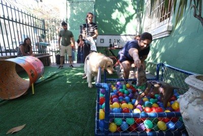 Pet Day é realizado no Iracema Bar, no Bairro Santa Tereza, na Região Leste de BH -  (crédito: Marcos Vieira/EM/DA Press)